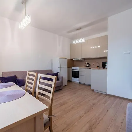 Wilda Homely Apartment Poznan